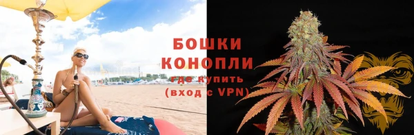 крисы Богородицк