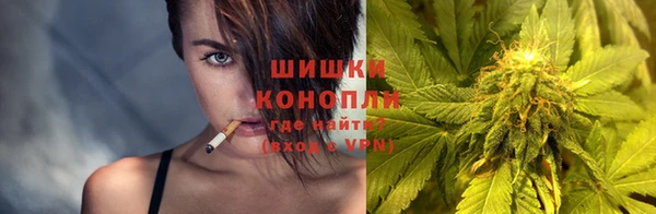 стаф Богородск