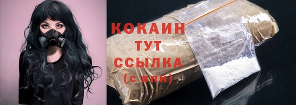 стаф Богородск