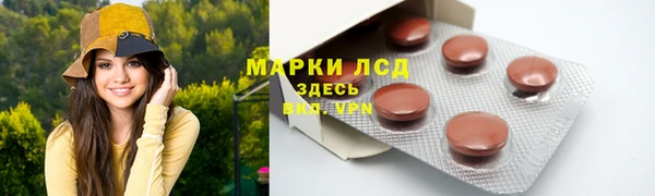 стаф Богородск