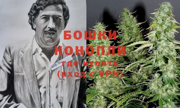 крисы Богородицк
