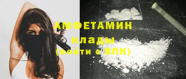 амф Богданович