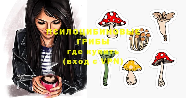крисы Богородицк