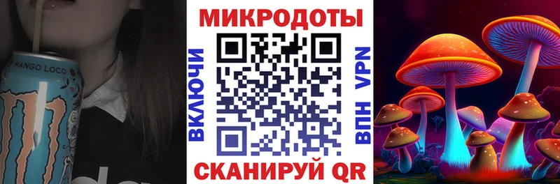 Купить закладки  Гай  Галлюциногенные грибы Psilocybine cubensis 